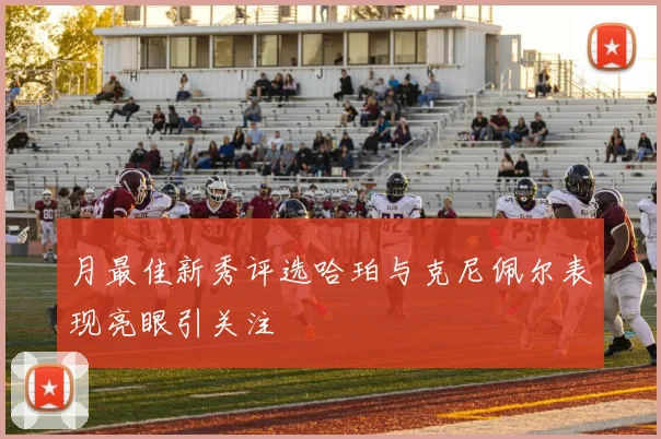 月最佳新秀评选哈珀与克尼佩尔表现亮眼引关注